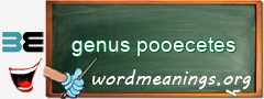 WordMeaning blackboard for genus pooecetes